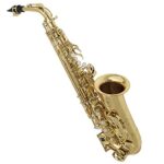 ساکسیفون آلتو سوزوکی