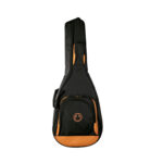 کاور گیتار دوبند رامو نانو