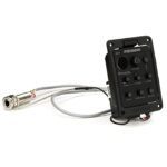 پیکاپ فیشمن