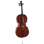 ویولنسل آلوی 4/4