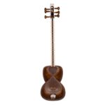 تار محمد کاظمی یک مهر