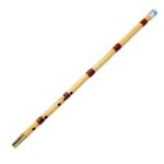 نی پارسا دومهر