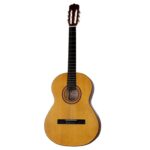 گیتار کلاسیک پارسی مدل M2